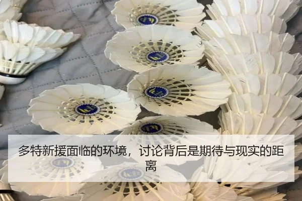 duo-te-xin-yuan-mian-lin-de-huan-jing-tao-lun-bei-hou-shi-qi-dai-yu-xian-shi-de-ju-li-1-923.jpg | manguantiyu
